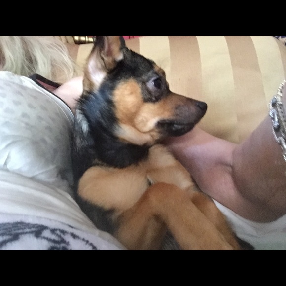 Meet your Posher, Chris - Picture 4 of 5